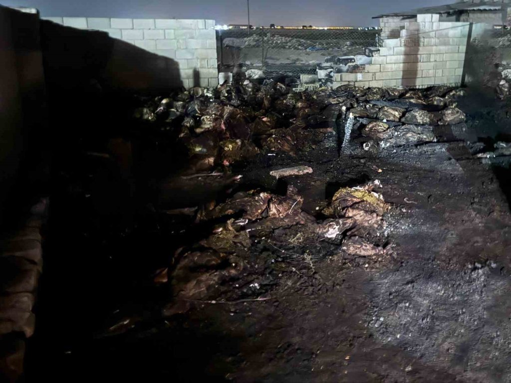 170 hayvan yanarak can verdi