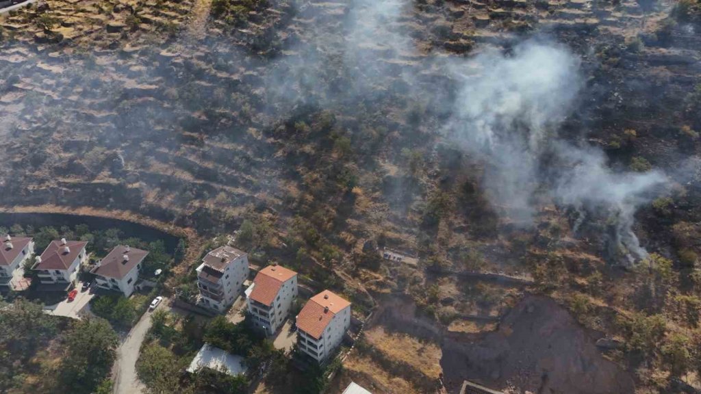 Patlıcan közlerken ormanı yaktı: Gözaltına alındı