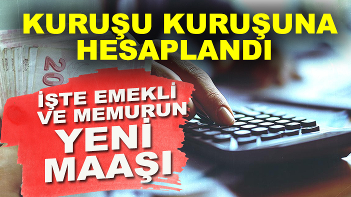 Kuruşu kuruşuna hesaplandı: İşte emekli ve memurun yeni maaşı