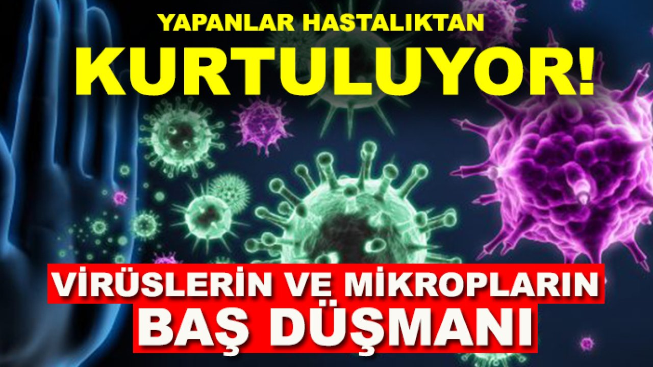 Yapanlar hastalıktan kurtuluyor! Virüslerin ve mikropların baş düşmanı