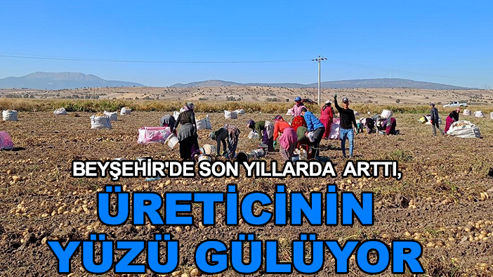 Beyşehir'de son yıllarda arttı, üreticinin yüzü gülüyor