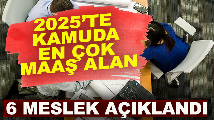 2025’te kamuda en çok maaş alan 6 meslek açıklandı