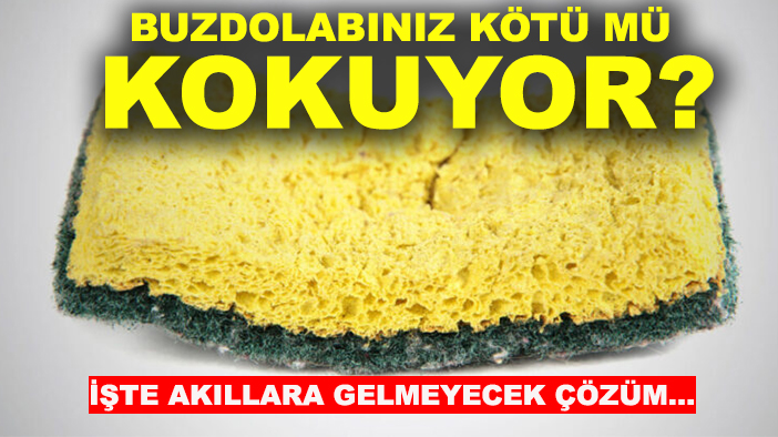 Bulaşık süngerini çöpe atmayın! Buzdolabında işe yarıyor