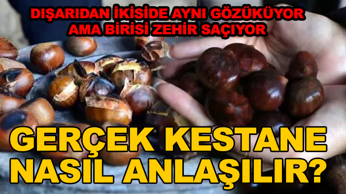 Pişince köpürüyorsa sakın yemeyin! Gerçek kestane nasıl anlaşılır?
