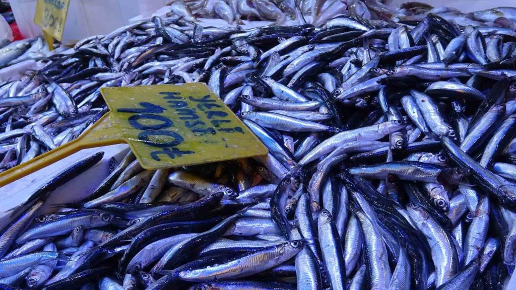 Hamsini kilosu 300 TL’den 100 TL’ye düştü: Kapış kapış gitti