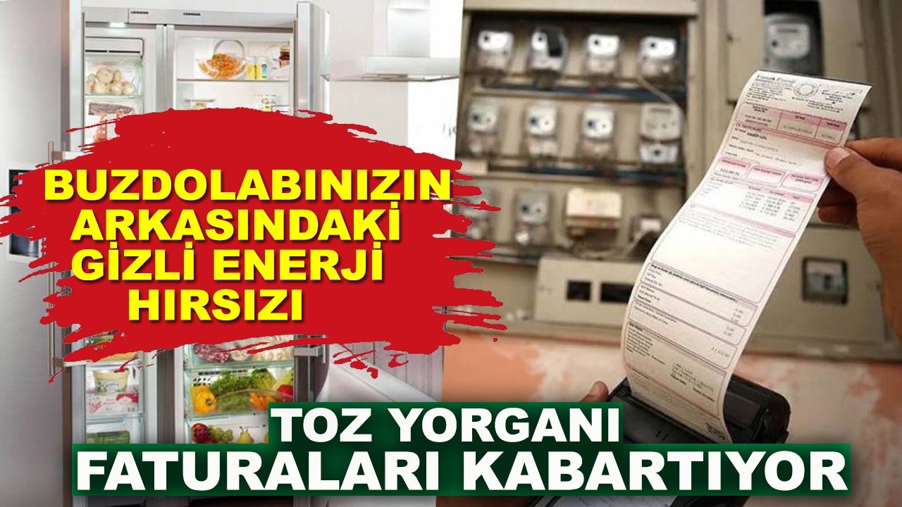 Buzdolabınızın arkasındaki gizli enerji hırsızı: Toz yorganı faturaları kabartıyor
