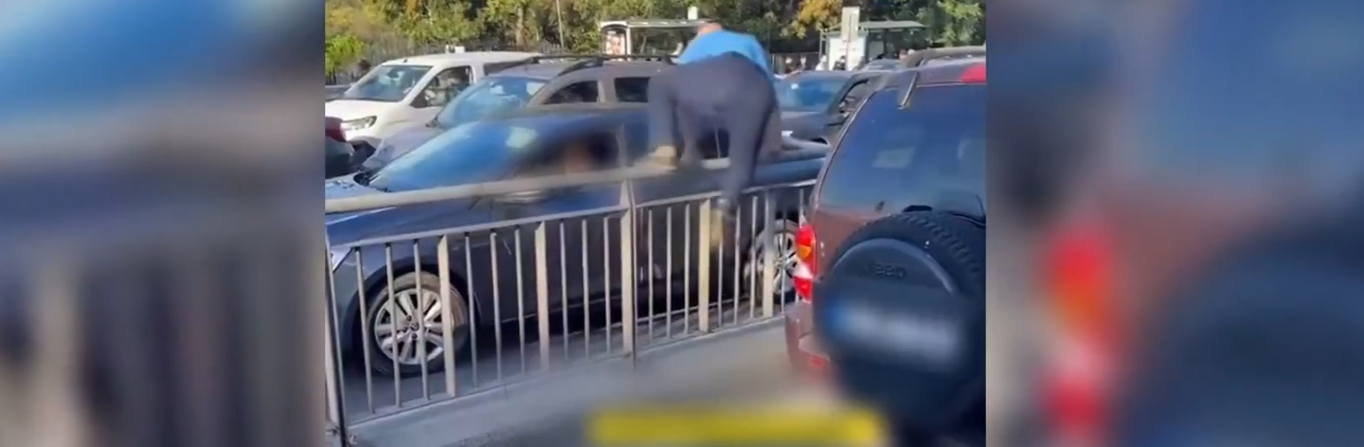 Bakan Yerlikaya, ceza yetersizliğini bu sözlerle açıkladı