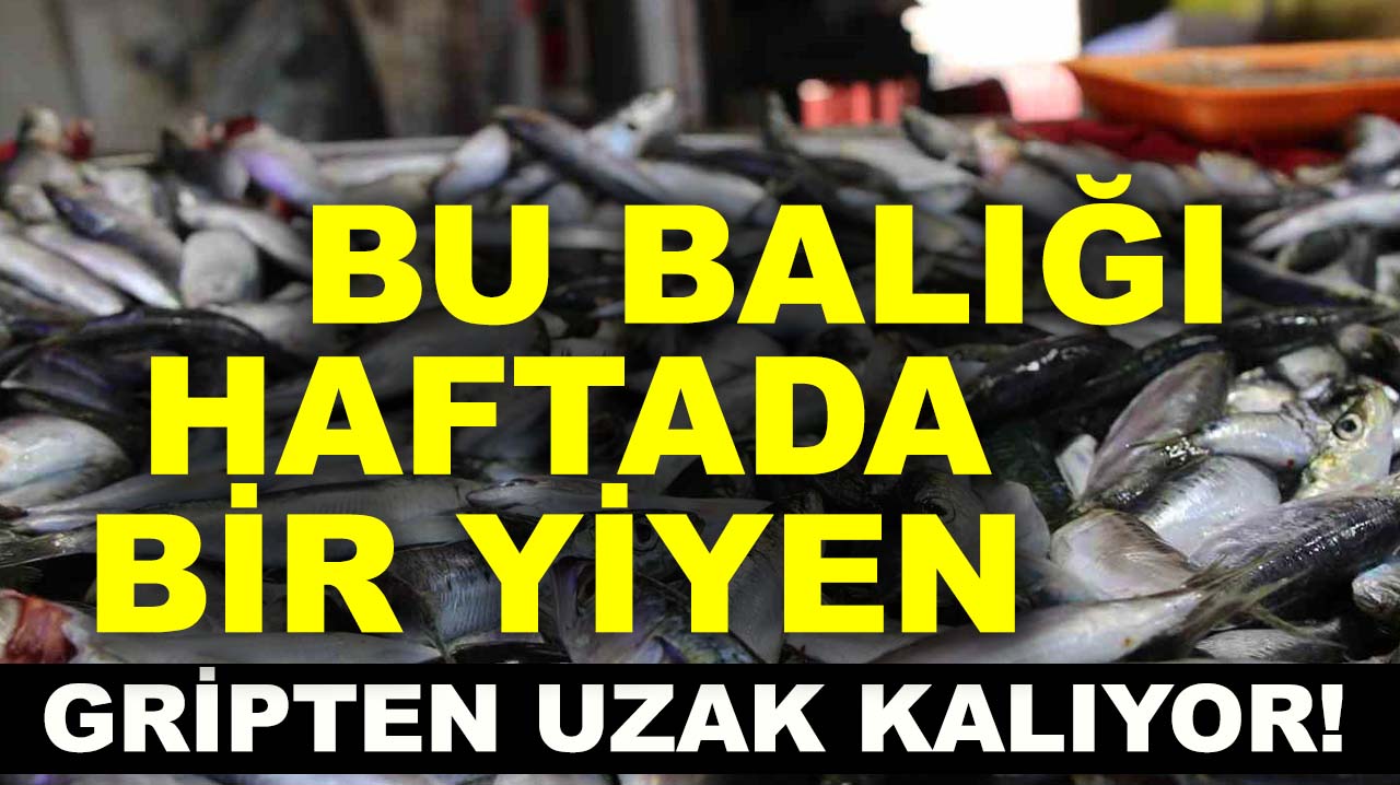 Bu balığı haftada bir yiyen gripten uzak kalıyor!