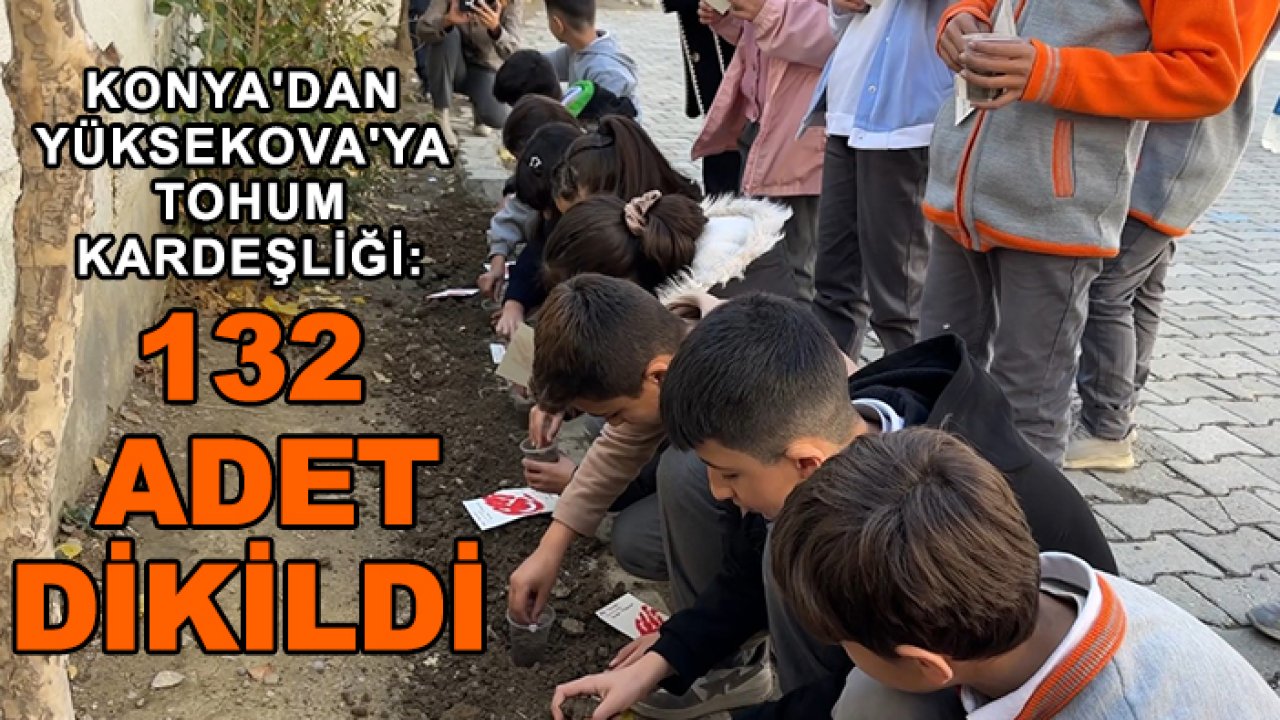 Konya'dan Yüksekova'ya tohum kardeşliği: 132 adet dikildi