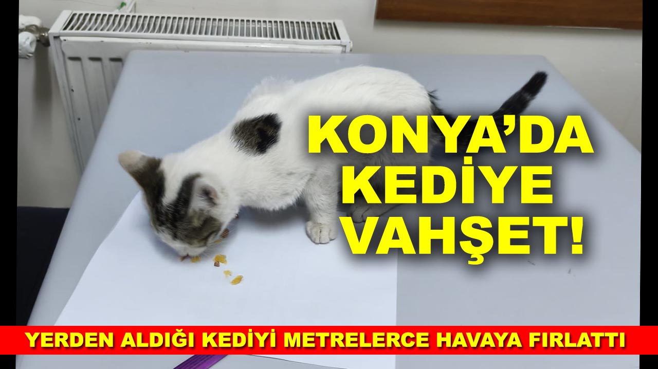 Konya’da kediye vahşet! Yerden aldığı kediyi metrelerce havaya fırlattı