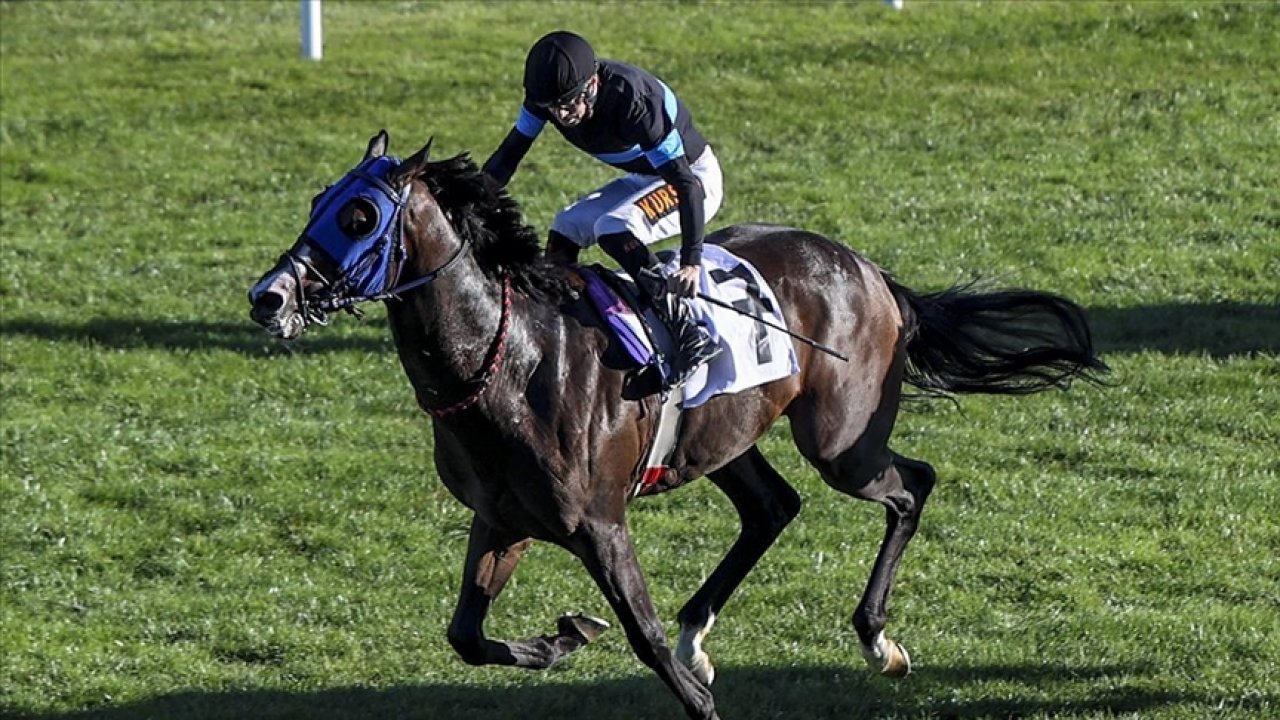 At yarışı için geri sayım