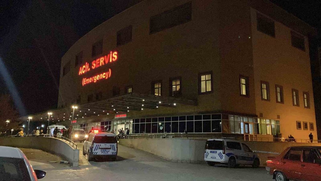 ‘Hayvan otlatma’ kavgası kanlı bitti!