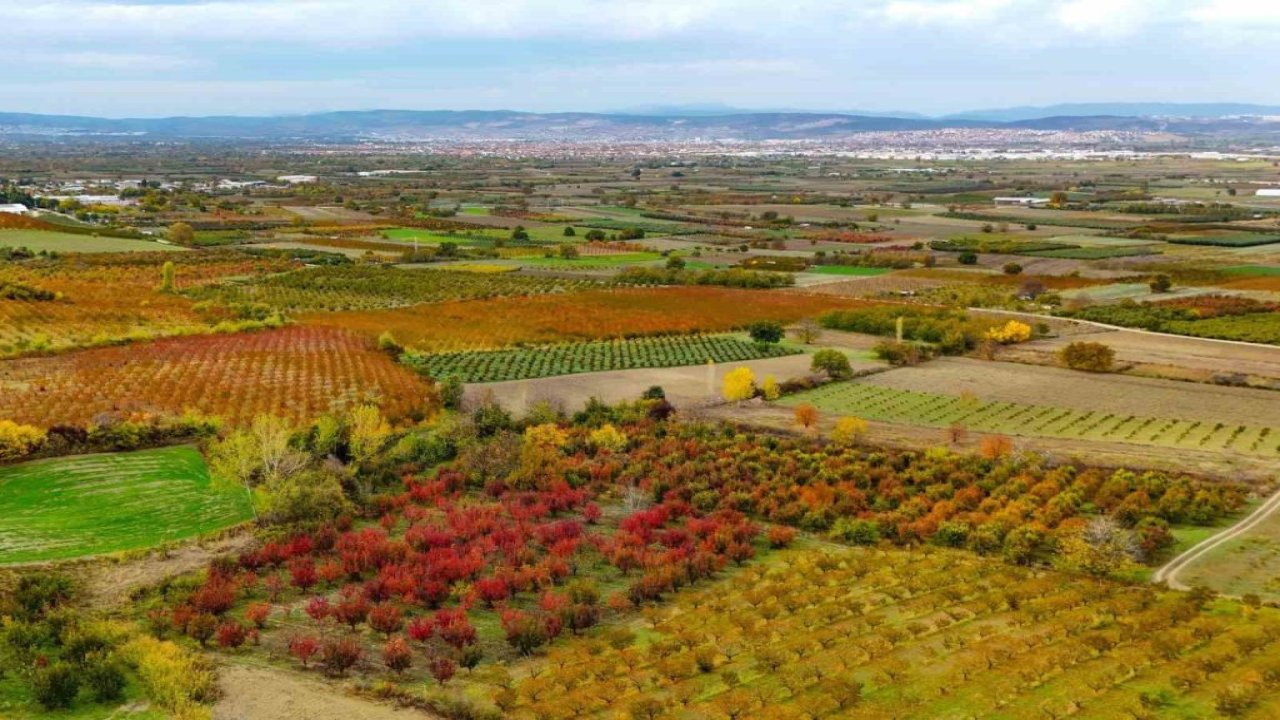 Sonbaharın renk cümbüşü Uludağ eteklerinde