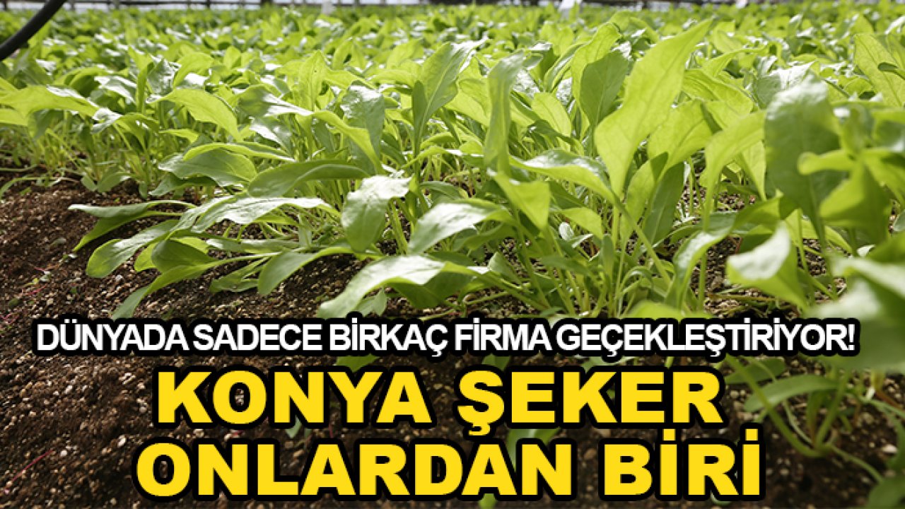 Dünyada sadece birkaç firma geçekleştiriyor! Konya Şeker onlardan biri