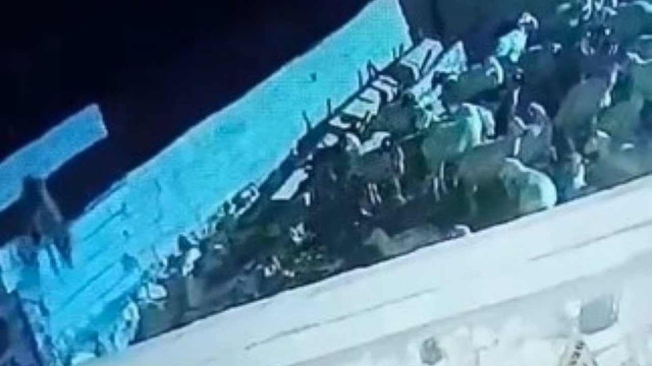 Konya'da ağıla giren kurt koyunu telef etti! O anlar kamerada