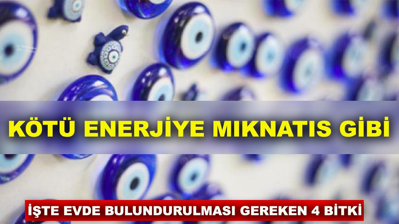 Kötü enerjiye mıknatıs gibi! İşte evde bulundurulması gereken 4 bitki