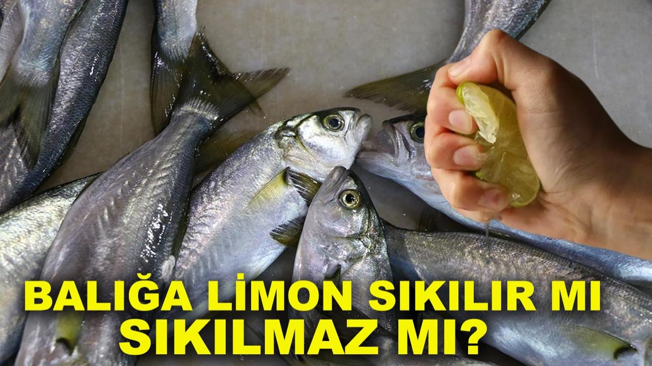 Balığa limon sıkılır mı, sıkılmaz mı? Uzmanlardan net açıklama