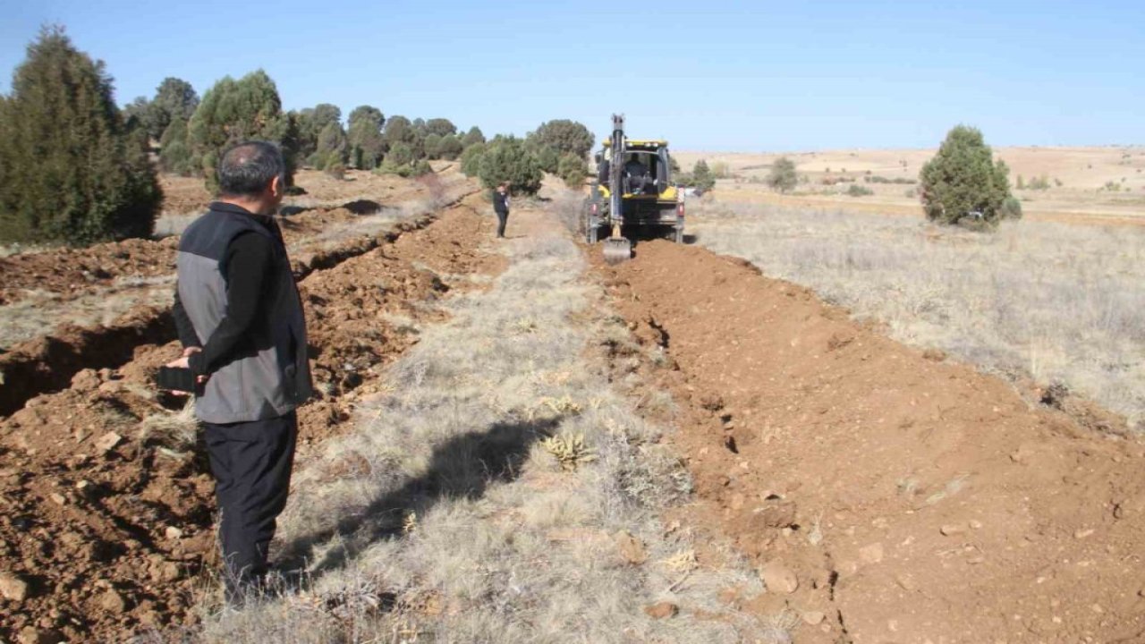 Konya'nın ilçesinde 11 bin orman fidanı daha toprakla buluşturulacak