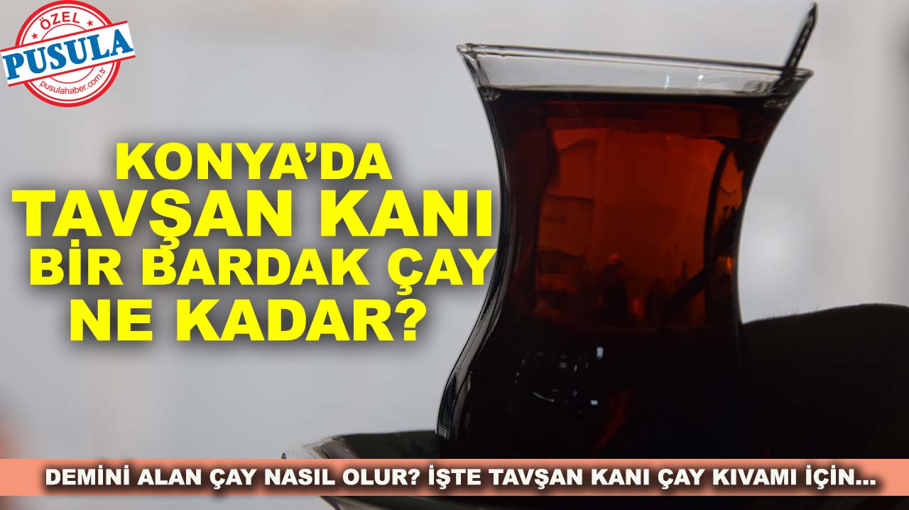 Konya’da tavşan kanı bir bardak çay ne kadar?