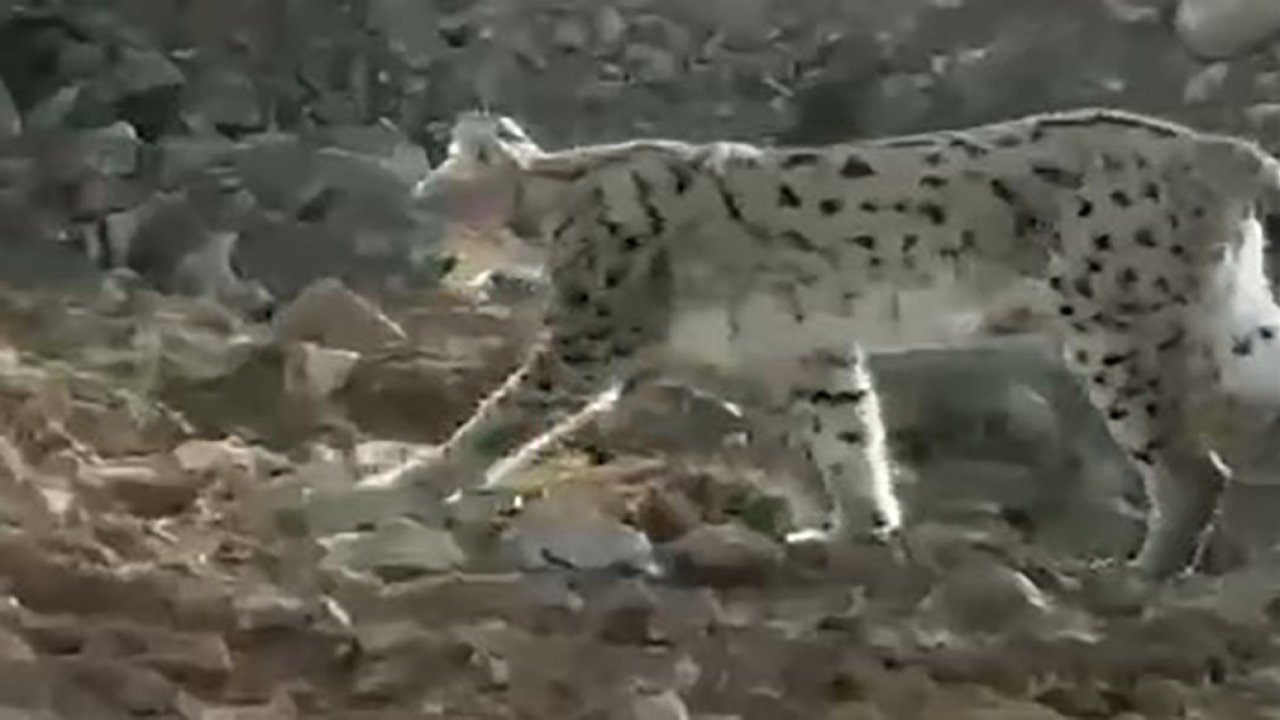 Hakkari’de nefes kesen karşılaşma