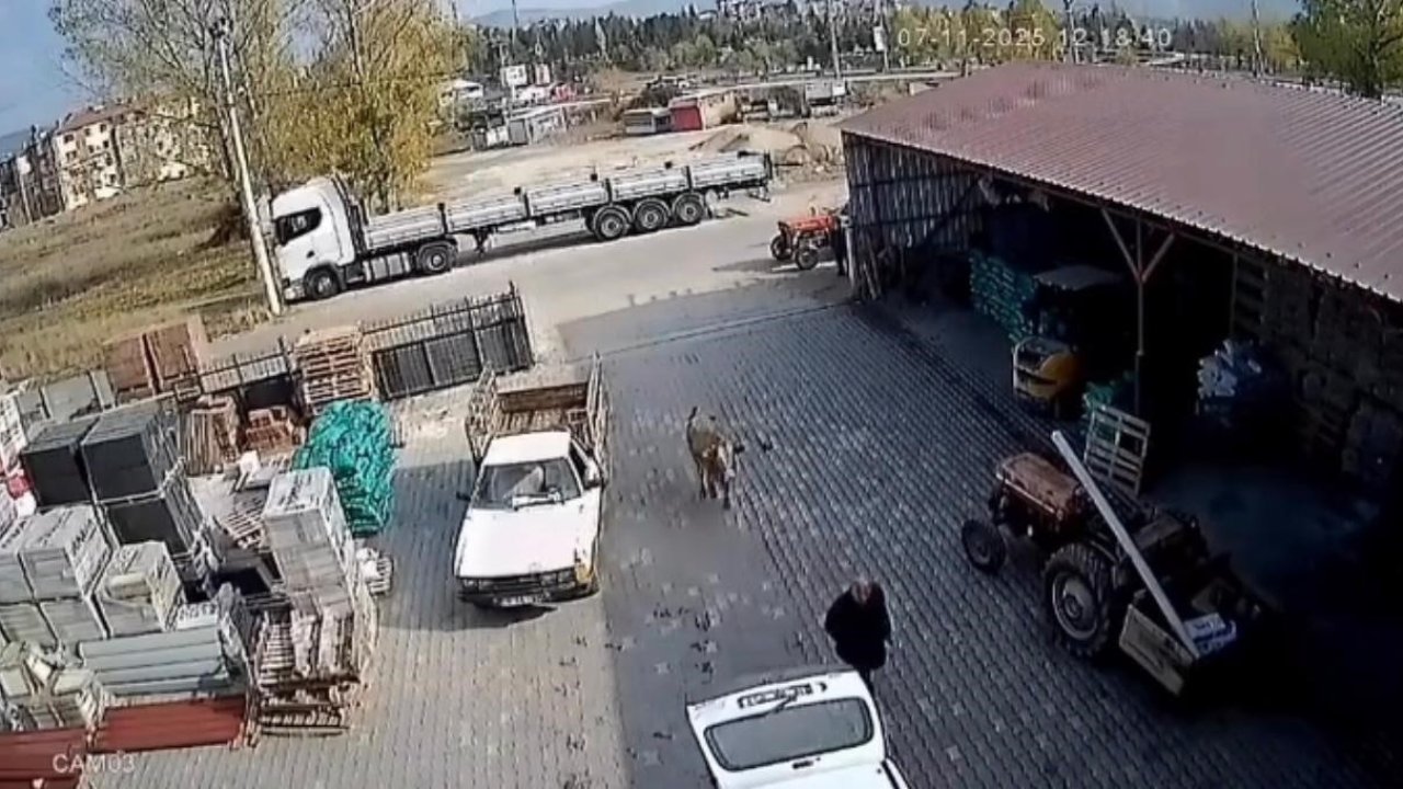 Çankırılılar memnun! Depoya giren ineğin çalışanlara saldırması viral oldu!