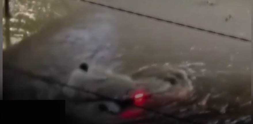 Gözyaşları ve çığlık çığlığa ölüm kalım mücadelesi! Aracıyla sele böyle kapıldı TIKLA&İZLE