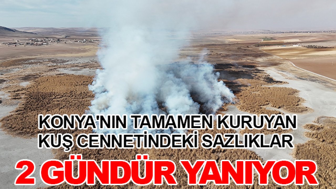 Konya'nın tamamen kuruyan kuş cennetindeki sazlıklar  2 gündür yanıyor