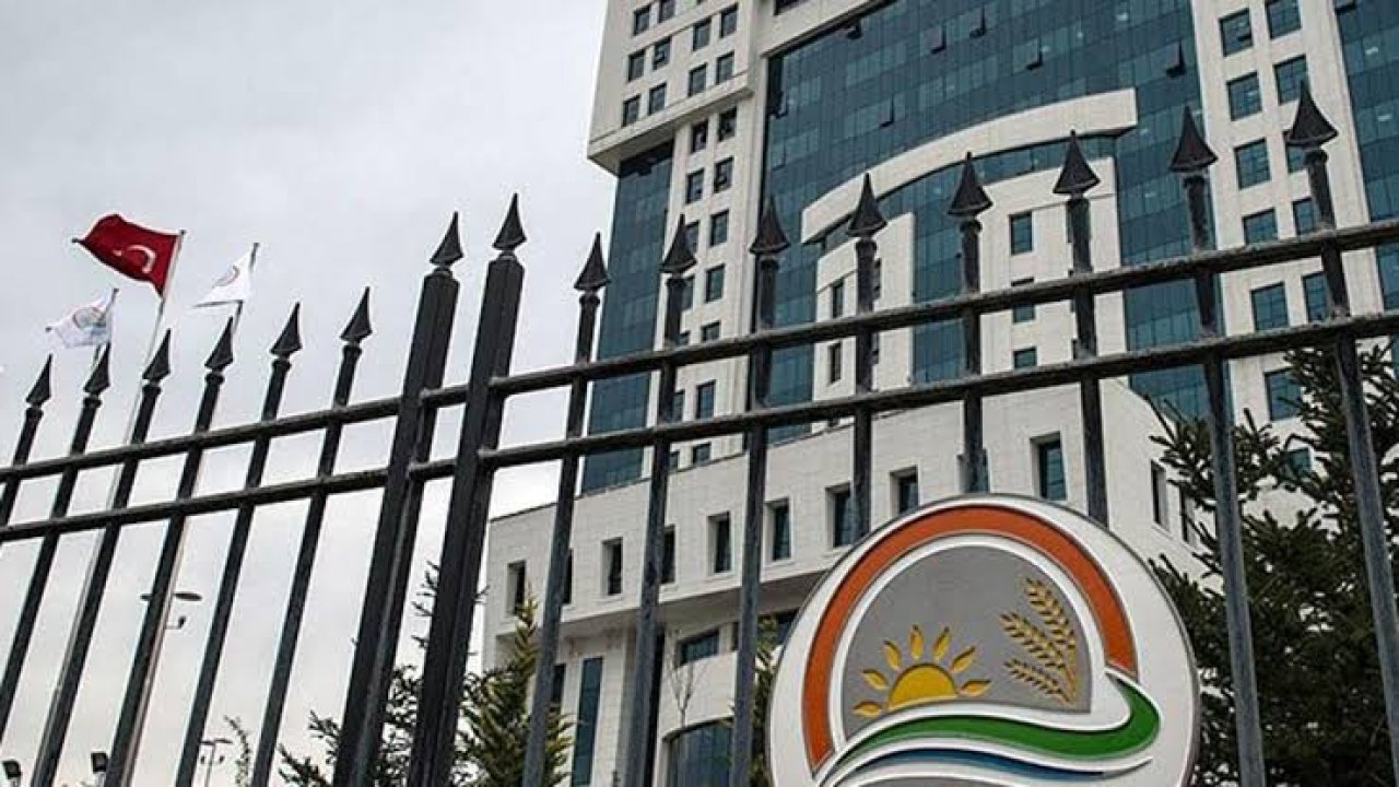 Tarım ve Orman Bakanlığı çok sayıda personel alacak!