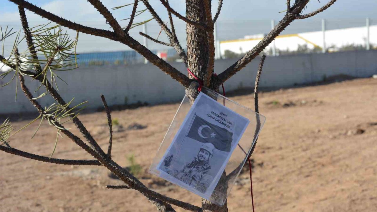 NEÜ, iki farklı etkinlikle şehitlerin hatırasını yeşertti