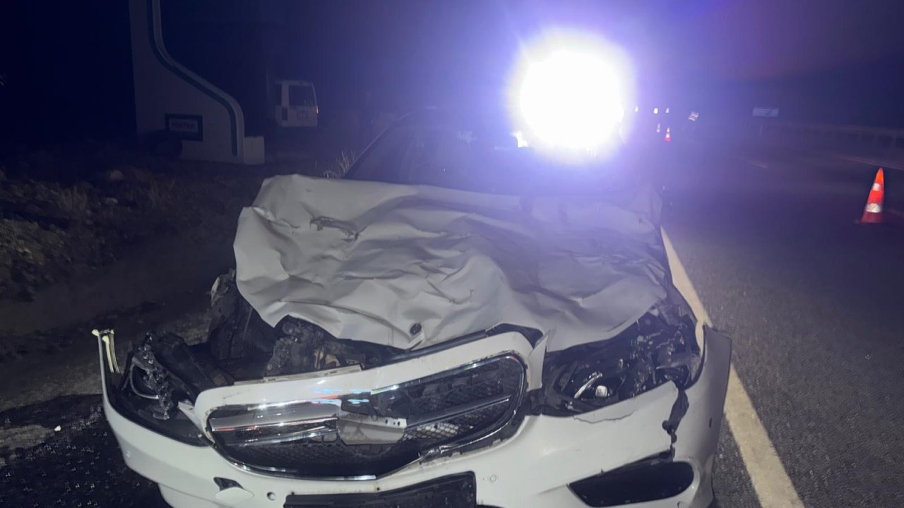 Konya'daki kazada inekler telef, araçta büyük hasar oldu