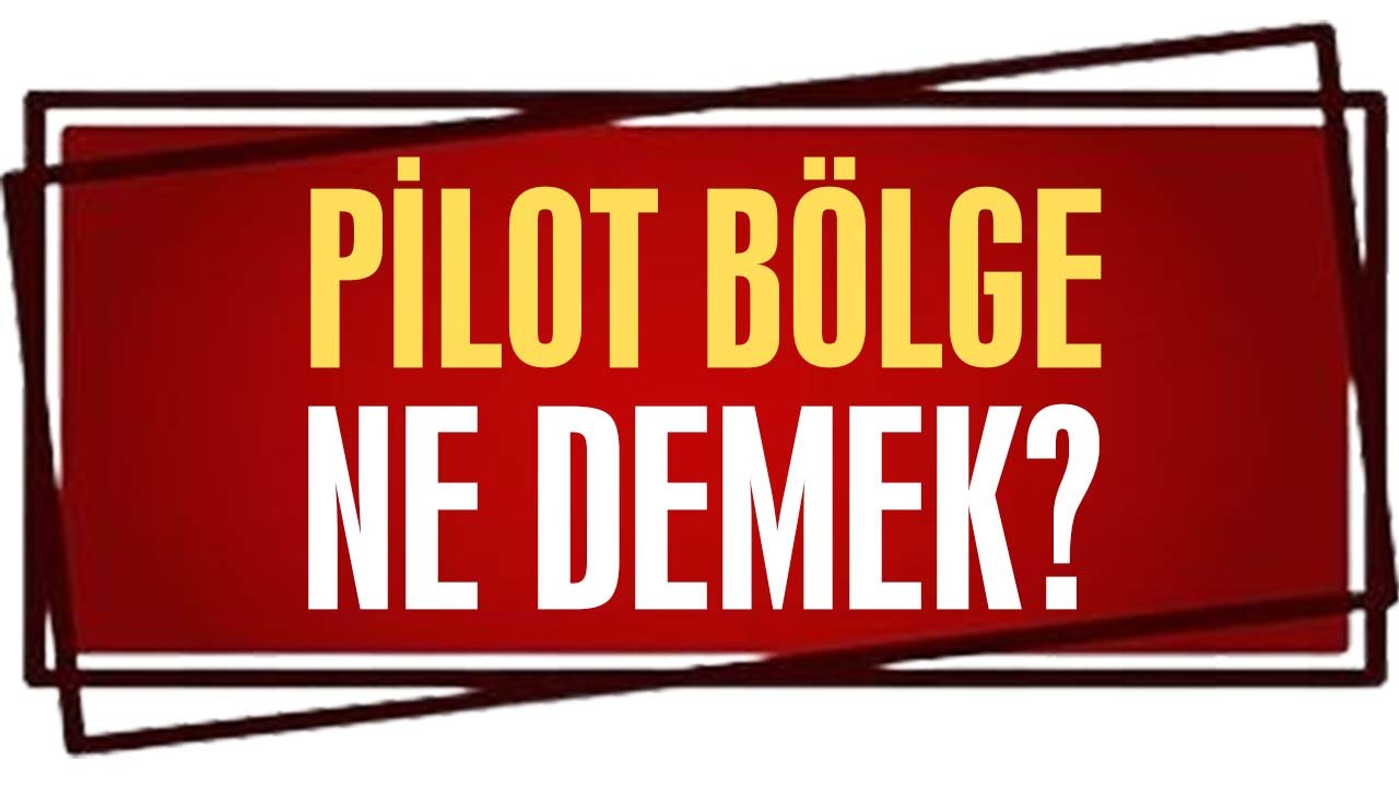 Pilot bölge ne demek?