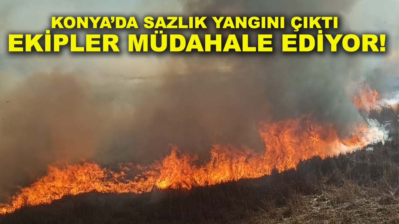 Konya’da sazlık yangını çıktı, ekipler müdahale ediyor!