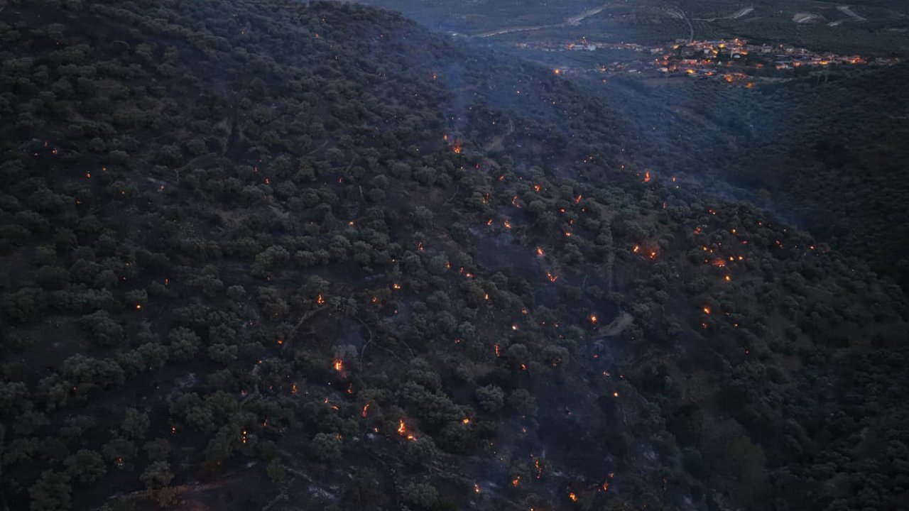 Bozdoğan yangını büyük ölçüde kontrol altına alındı