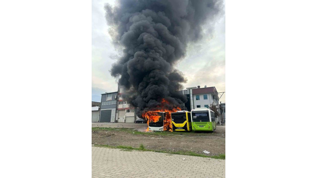 Park halindeki otobüsler cayır cayır yandı