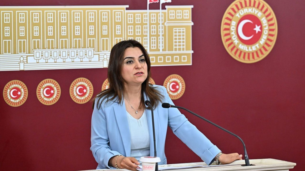 DEM'li Bakırhan 'çoban olsunlar' demişti: AKP'nin masasında 'koruculuk sistemi' var