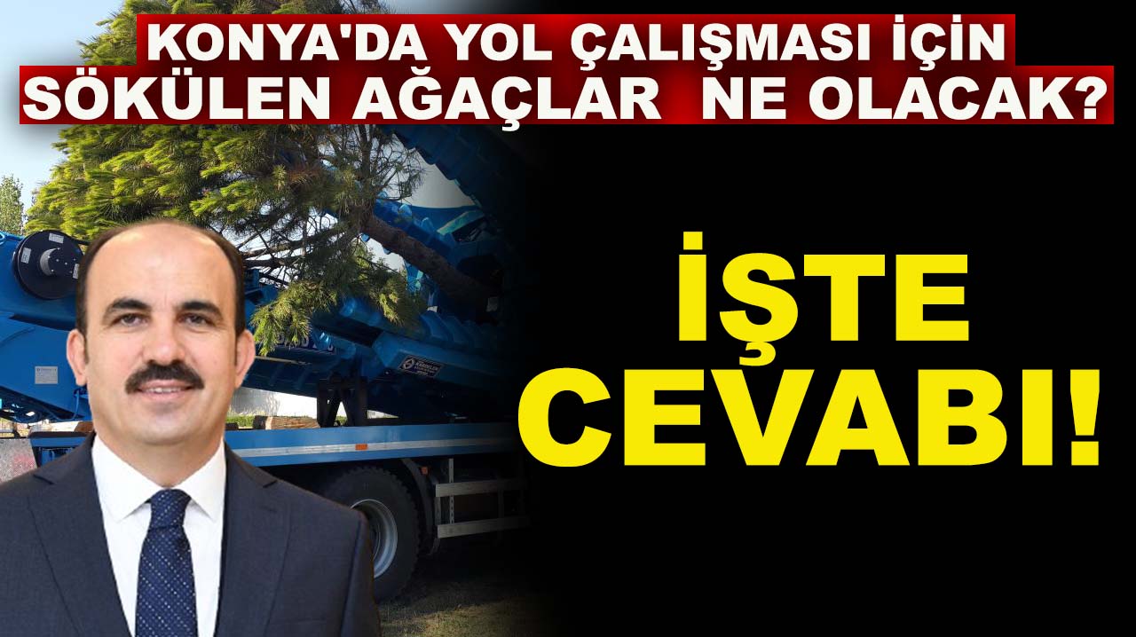 Konya'da yol çalışması için sökülen ağaçlar ne olacak? İşte cevabı!