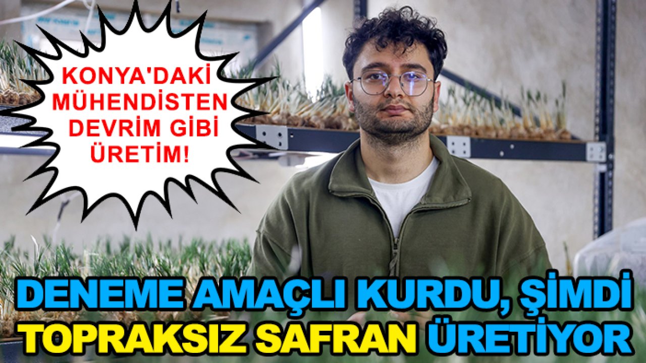 Konya'daki mühendisten devrim gibi üretim! Deneme amaçlı kurdu, şimdi topraksız safran üretiyor