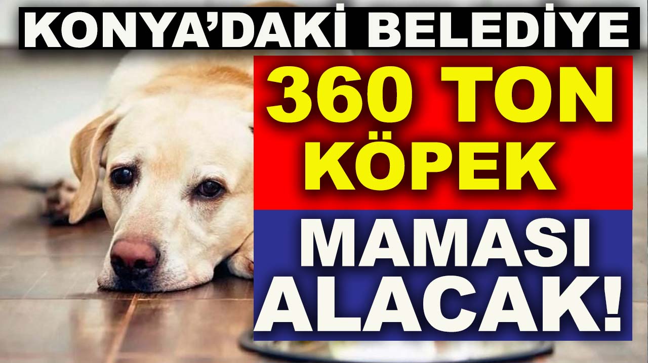 Konya’daki belediye 360 ton köpek maması alacak!