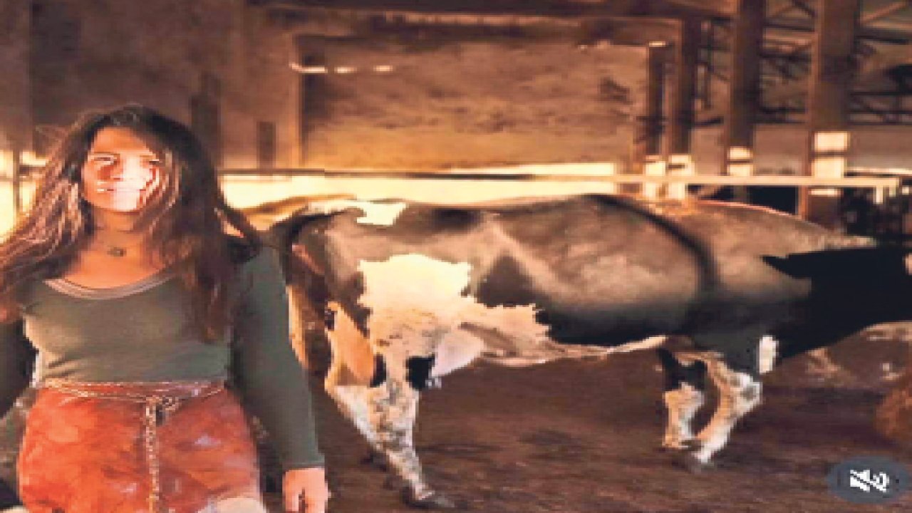 Cem Boyner'in kızı köyüne taşındı!