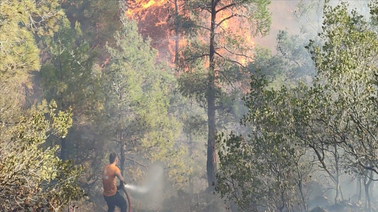 Hatay'da orman yangını çıktı!