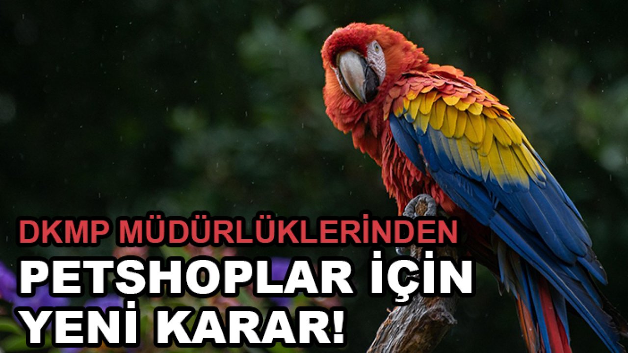 DKMP müdürlüklerinden petshoplar için yeni karar!