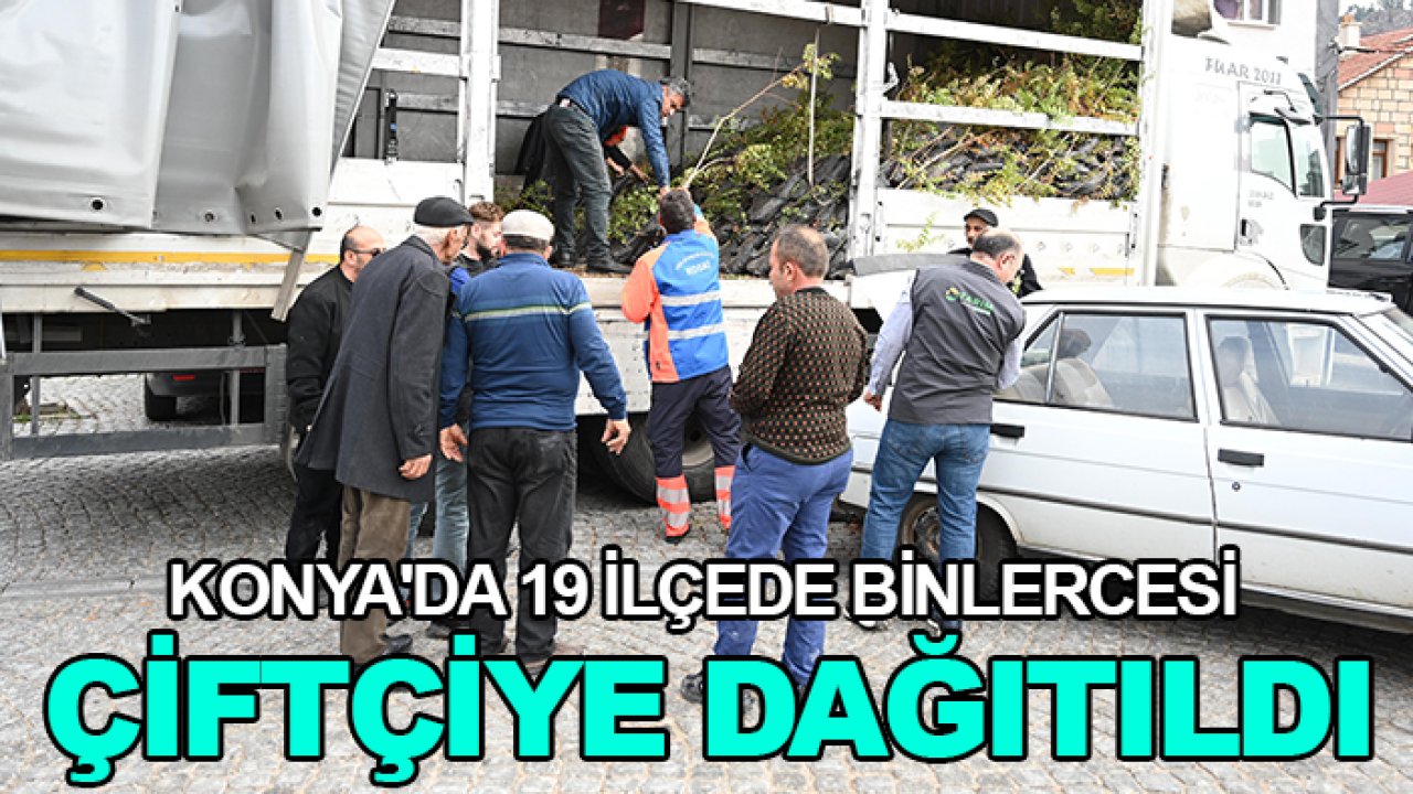 Konya'da 19 ilçede binlercesi çiftçiye dağıtıldı