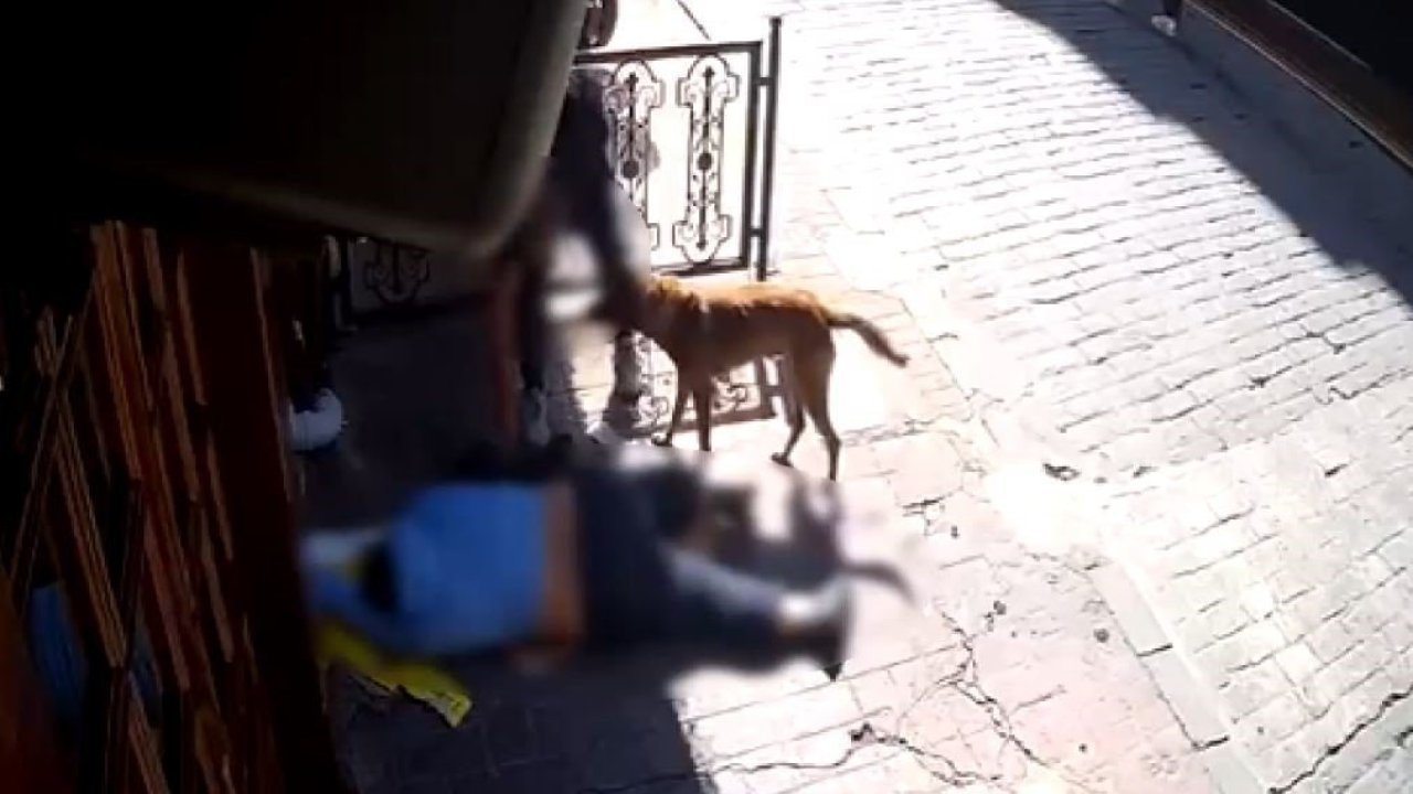 "Pes" dedirten olay: Epilepsi sonrası bayılan adamın kıyafetini ve telefonunu çaldılar! Vicdansızlığın böylesi!