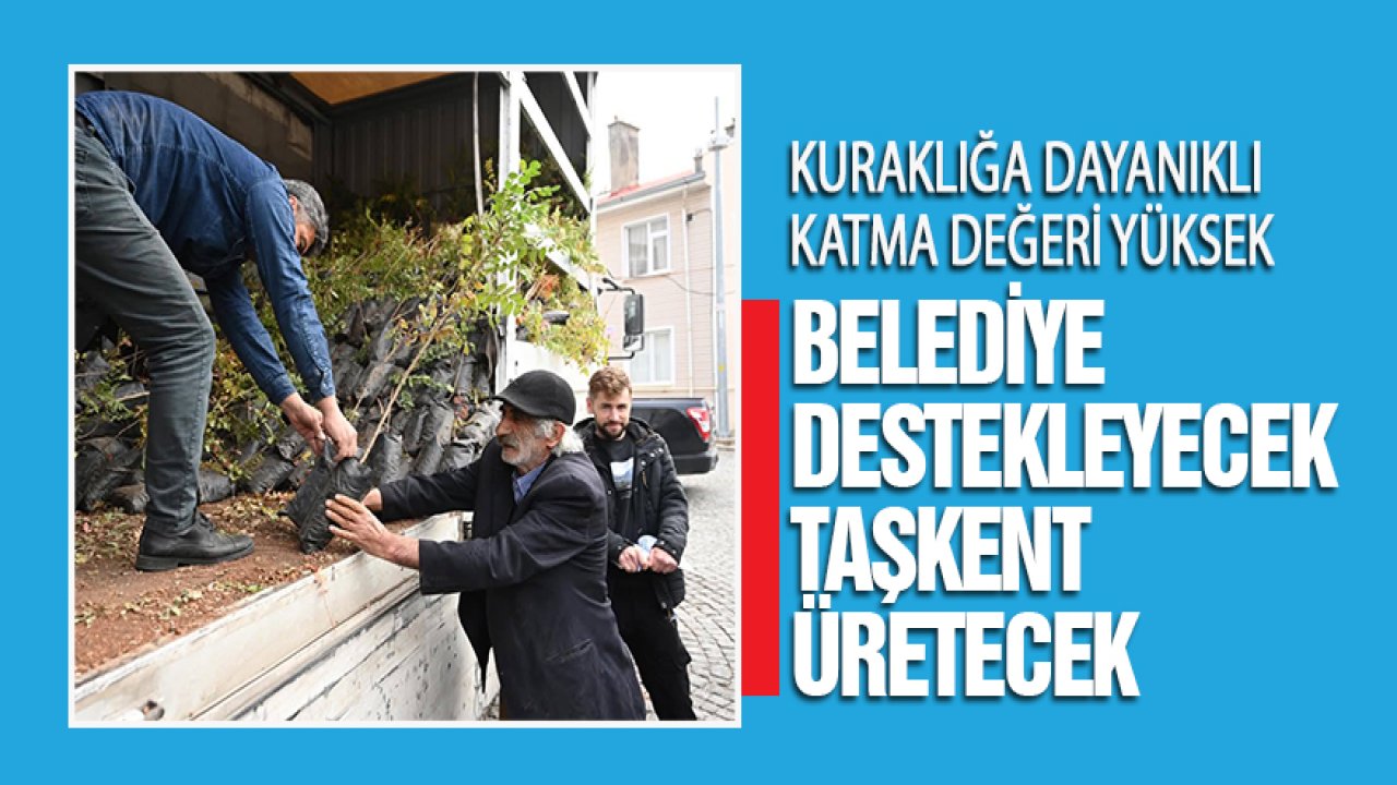 Kuraklığa dayanıklı, katma değeri yüksek, belediye destekleyecek, Taşkent üretecek