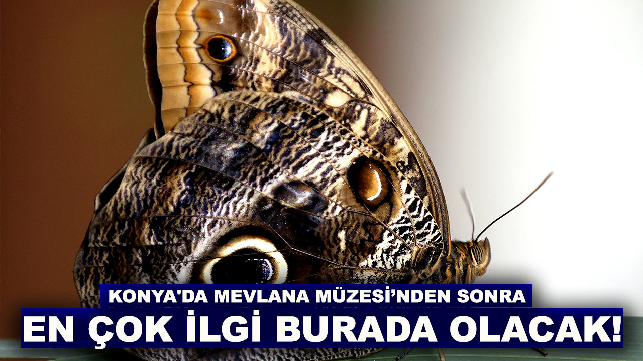 Konya'da Mevlana Müzesi’nden sonra en çok ilgi burada olacak!