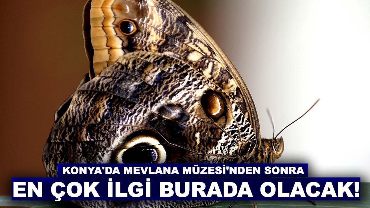 Konya'da Mevlana Müzesi’nden sonra en çok ilgi burada olacak!