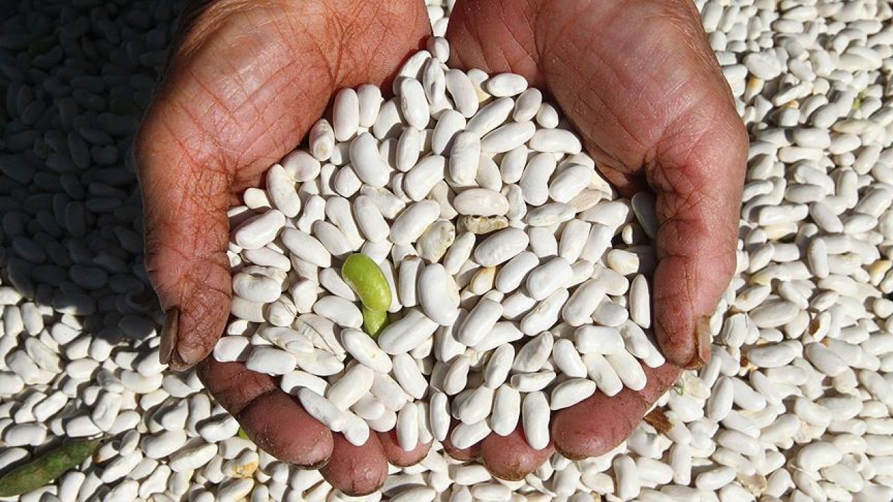 DMM'den "kuru fasulye krizi" iddiasıyla ilgili açıklama