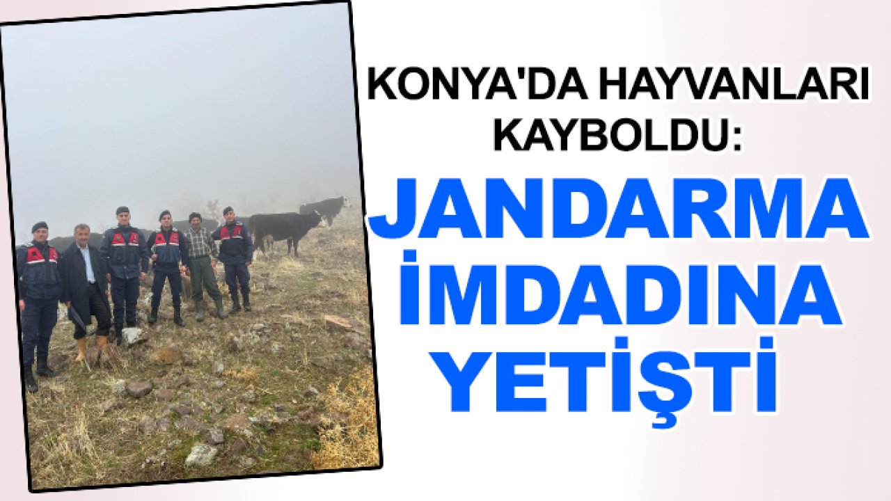Konya'da hayvanları kayboldu: Jandarma imdadına yetişti