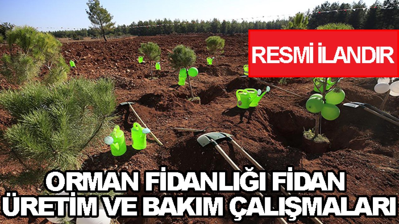Seydişehir Orman Fidanlığı Fidan Üretim ve Bakım Çalışmaları