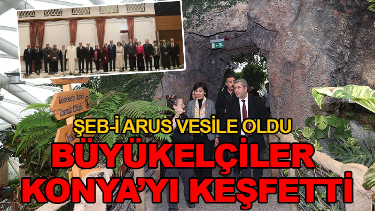 Şeb-i Arus vesile oldu: Büyükelçiler Konya'yı keşfetti